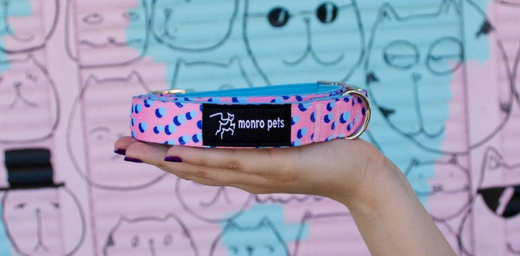 Hocus Pocus 1 Inch Dog Collar 