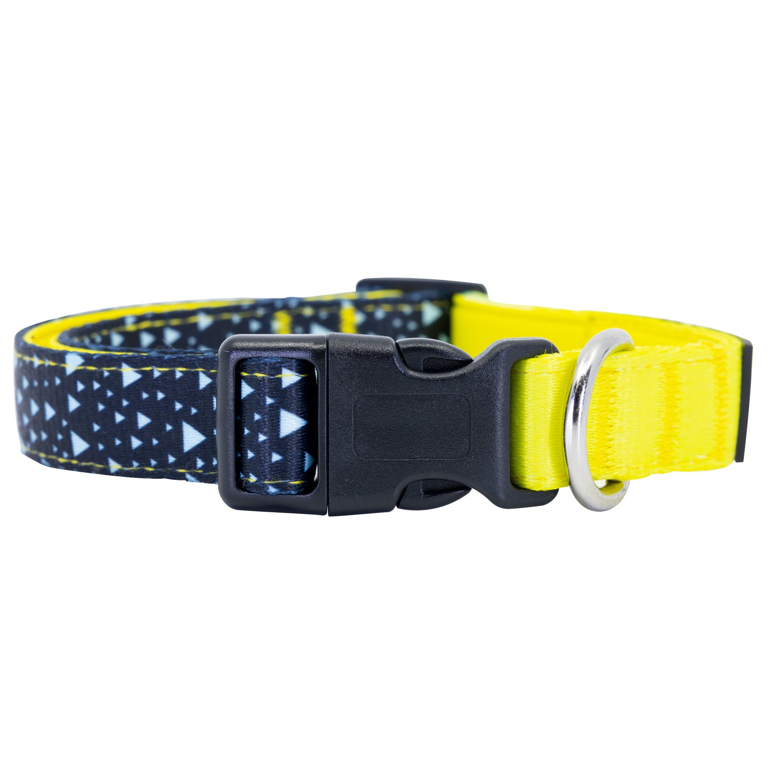 Asteroid Blues Dog Collar Buckle and D-Ring Product Shot