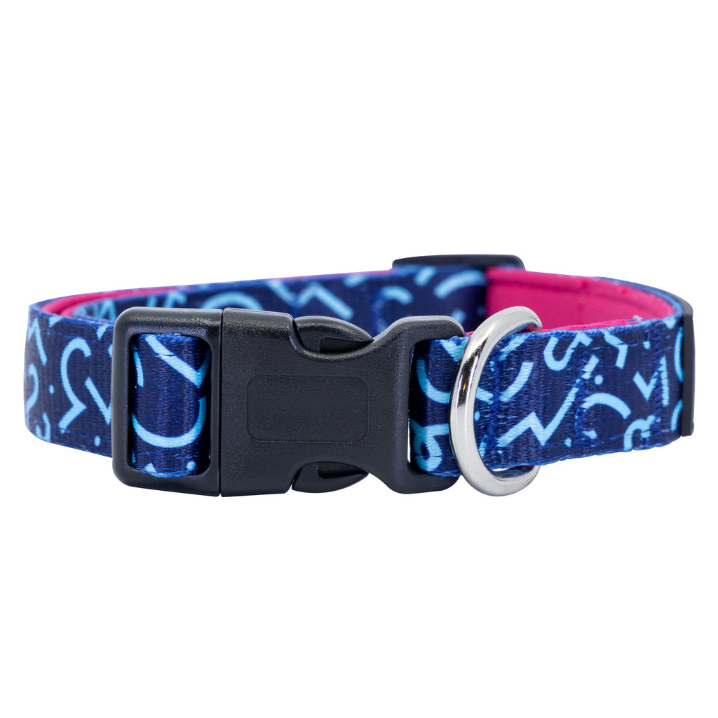 Groovin' Graffiti Dog Collar Buckle and D-Ring Product Shot